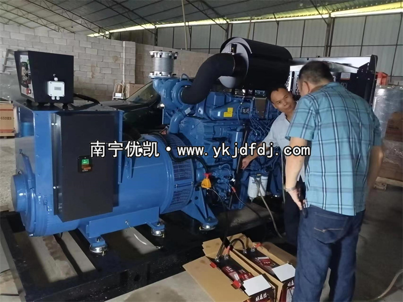 2023年6月27日，越南項目出口500kw玉柴發(fā)電機組并試機