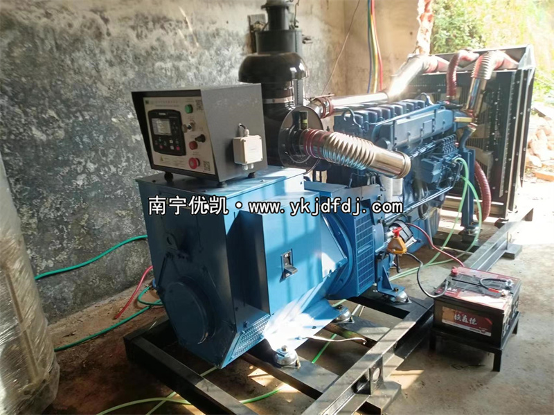 2024年3月5日，200kw濰坊雷納發(fā)電機(jī)組某學(xué)校到貨安裝